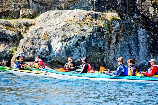 Victoria Harbour Kayak Tour - Meeting at 450 Swift St and Timing Your Afternoon