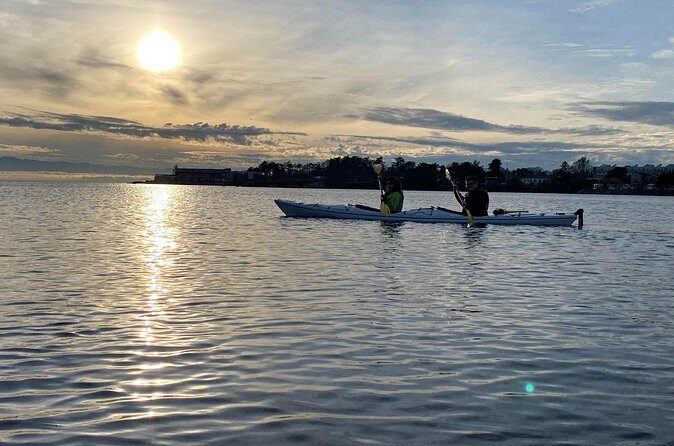 Victoria Harbour Sunset Kayak Tour - Why Victoria Harbour Sunset Feels Like a Different City