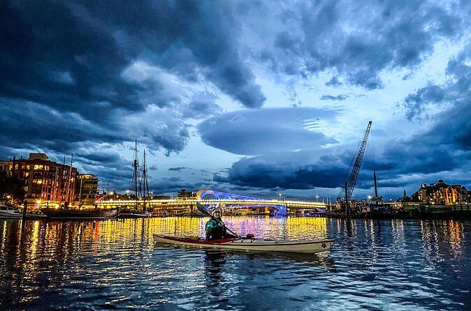 Victoria Harbour Sunset Kayak Tour - Wildlife Odds: Seals, Otters, Birds, and Quiet Nature Moments