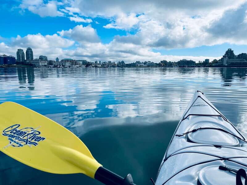 Victoria: Kayak Harbour Tour - Key things to know before you paddle