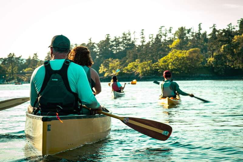Victoria: Kayak Harbour Tour - Inner Harbour Landmarks and Harbour Traffic (The Part You’ll Remember)