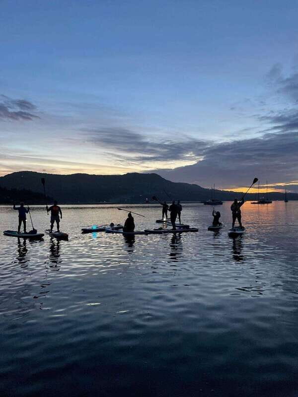 Victoria: Marine Wildlife Guided SUP Adventure - Key things that make this SUP tour worth your time
