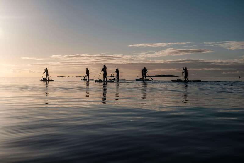 Victoria: Marine Wildlife Guided SUP Adventure - Why Victoria’s marine wildlife works so well from a SUP board