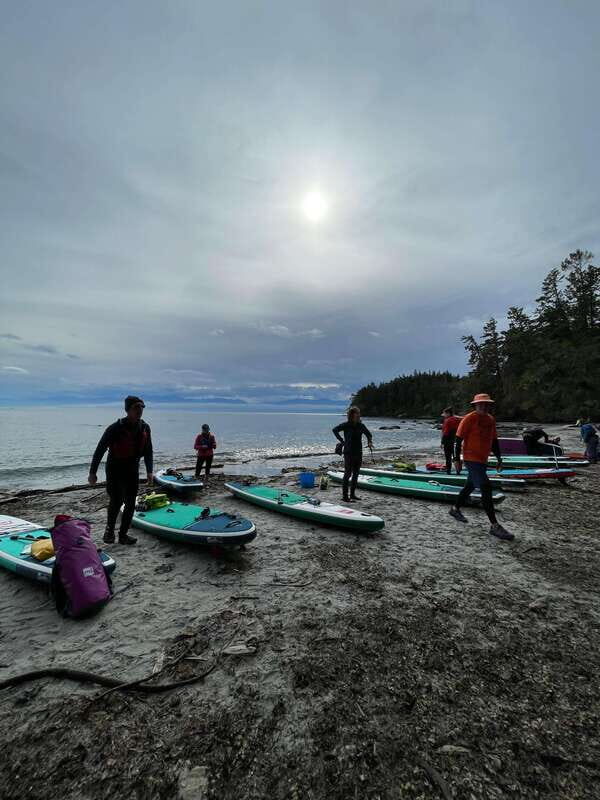 Victoria: Marine Wildlife Guided SUP Adventure - Wildlife spotting: how to see seals, sea lions, otters, and eagles