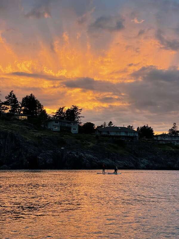 Victoria: Marine Wildlife Guided SUP Adventure - Paddling tips for efficiency and safety (the stuff that changes everything)