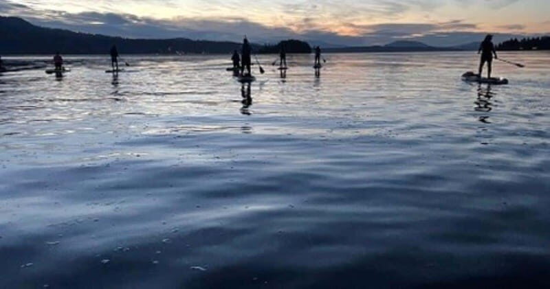 Victoria: Marine Wildlife Guided SUP Adventure - Meeting at 2634 Esplanade and finding the right van fast