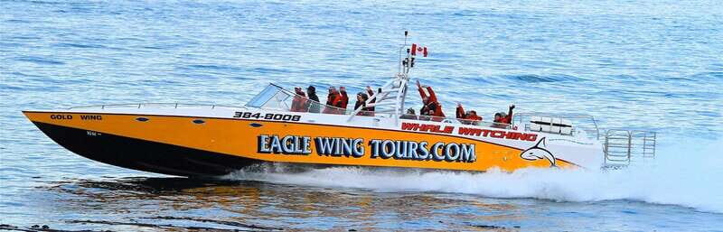 Victoria: Morning Whale-Watching Tour in Scarab Boat - Key things that make this tour worth your time