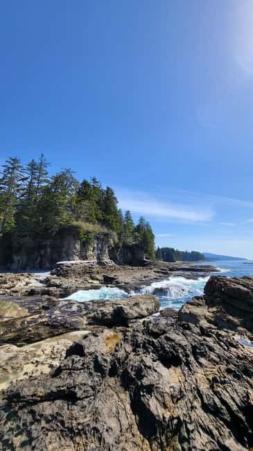 Victoria: Old Growth Rainforest Canyon Waterfall and Beaches - Key Points to Know Before You Go