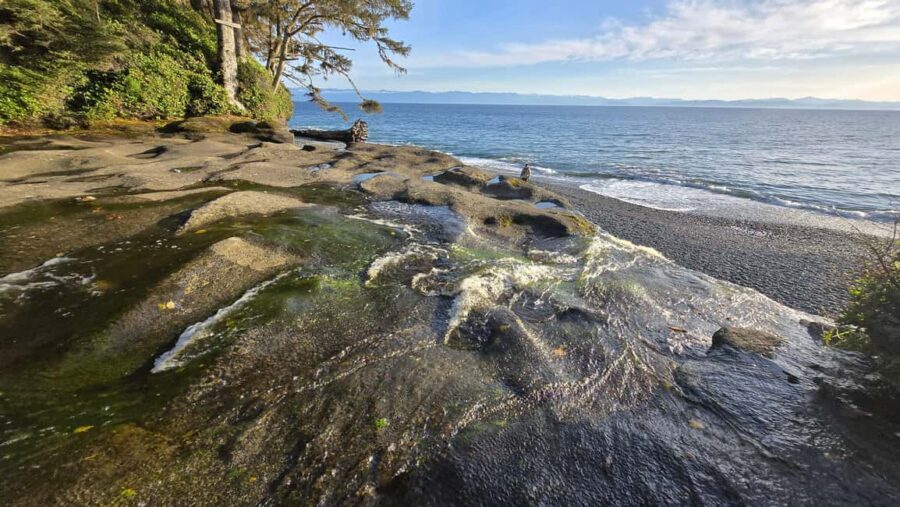 Victoria: Old Growth Rainforest Canyon Waterfall and Beaches - Sombrio Beach Hike: Sandstone Formations and a Cobble Shore Workout