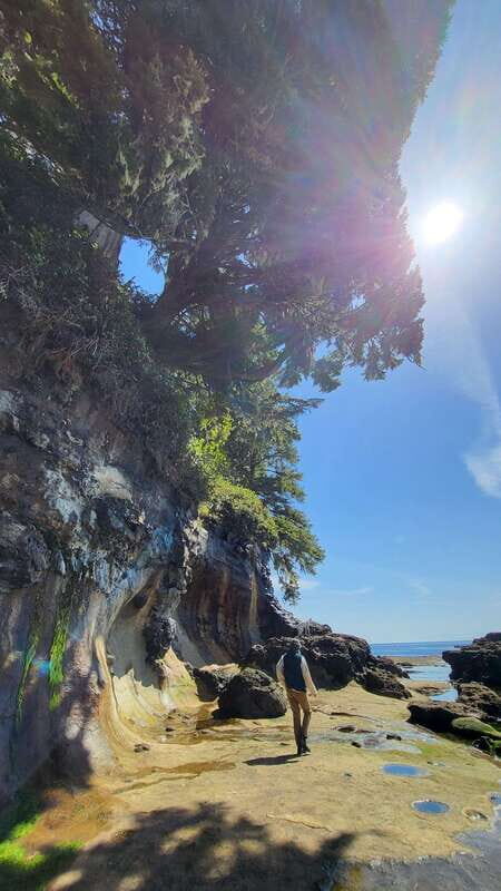 Victoria: Old Growth Rainforest Canyon Waterfall and Beaches - Pickup in Victoria and the Pacific Marine Road Drive