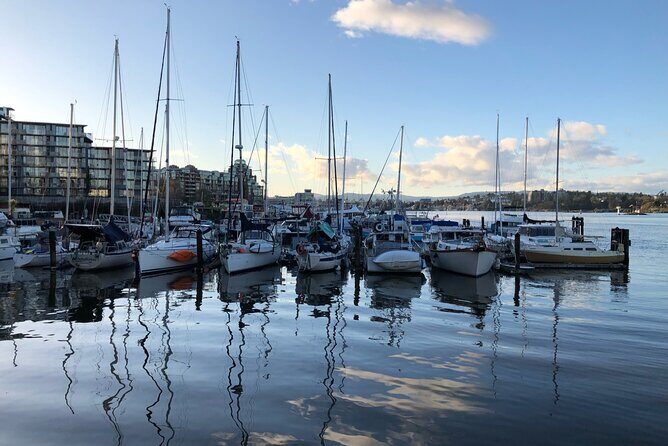 Victoria Scavenger Hunt and City Highlights Walking Tour - Practical tips for a smooth walk in Victoria