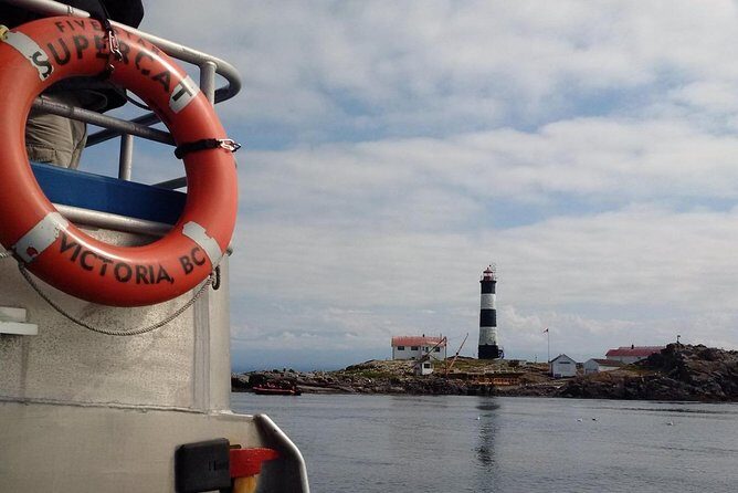 Victoria Shore Excursion: Whale-Watching Cruise with Expert Naturalist Guides - Stop 1: Five Star Whale Watching and the Orca-Spotting Logic