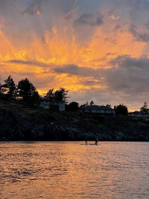 Victoria: Sunrise or Sunset SUP Tour - Food and drinks: what’s included, what’s optional