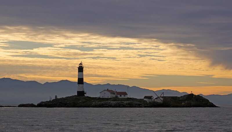 Victoria: Sunset Whale Watching Tour on Semi-Covered Boat - Who should book this sunset whale tour