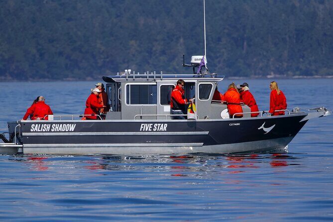Victoria Ultimate Marine Whale & Wildlife Tour - When whales get close: how the crew handles safety and rules