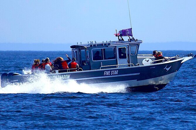Victoria Ultimate Marine Whale & Wildlife Tour - Price and logistics: what you pay for (and what to watch)