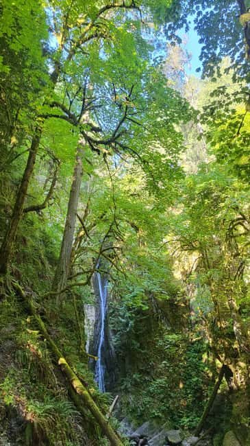 Victoria Waterfall, Skywalk, Beach Picnic, Castle and Whales - Key Points at a Glance