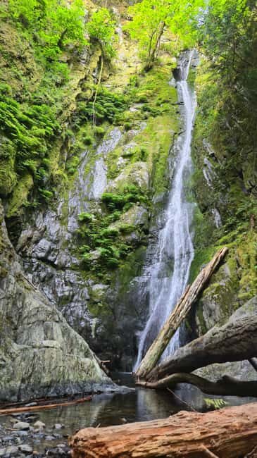 Victoria Waterfall, Skywalk, Beach Picnic, Castle and Whales - Tree Walk With a Local Naturalist Guide: Why This Part Feels Different