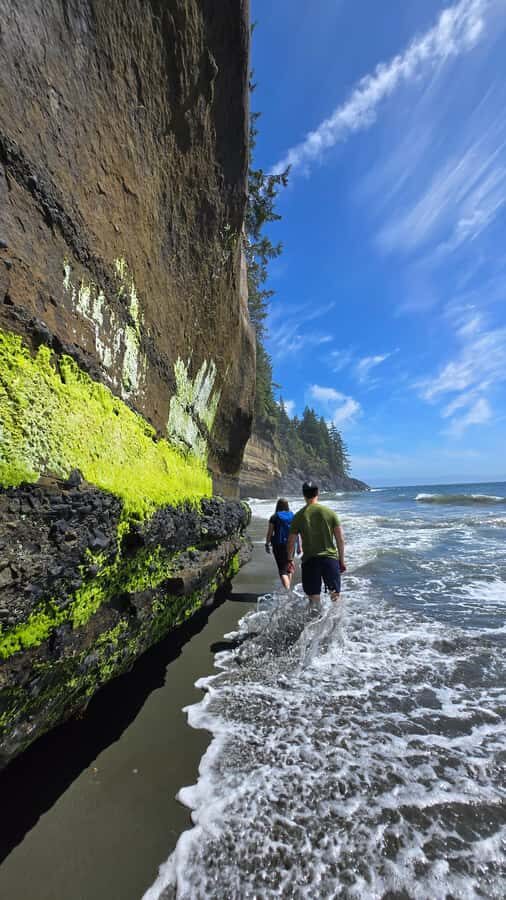 Victoria West Coast Wildlife, Old Growth and Waterfalls - A 7-hour west-coast hit from Victoria: how the day runs