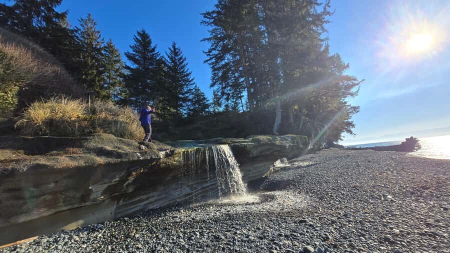 Victoria West Coast Wildlife, Old Growth and Waterfalls - Guides in a small group: why the day feels personal