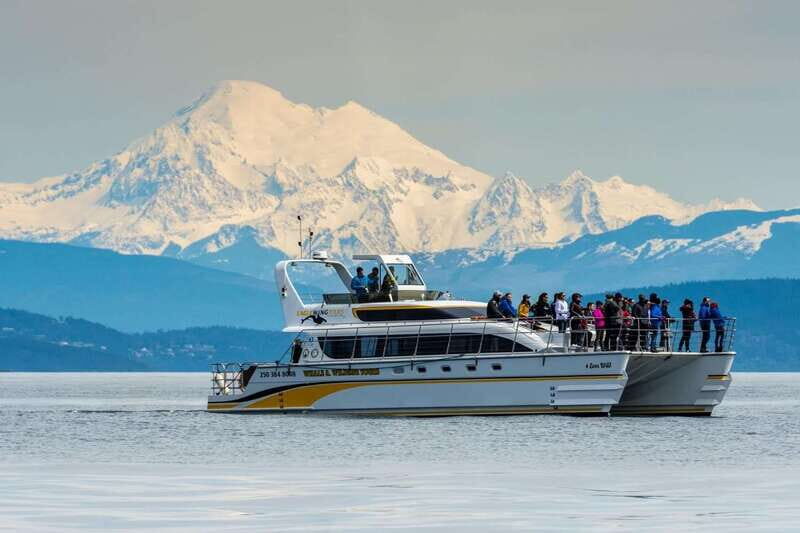Victoria: Whale and Wildlife Semi-Covered Boating Tour - Key highlights to know before you go