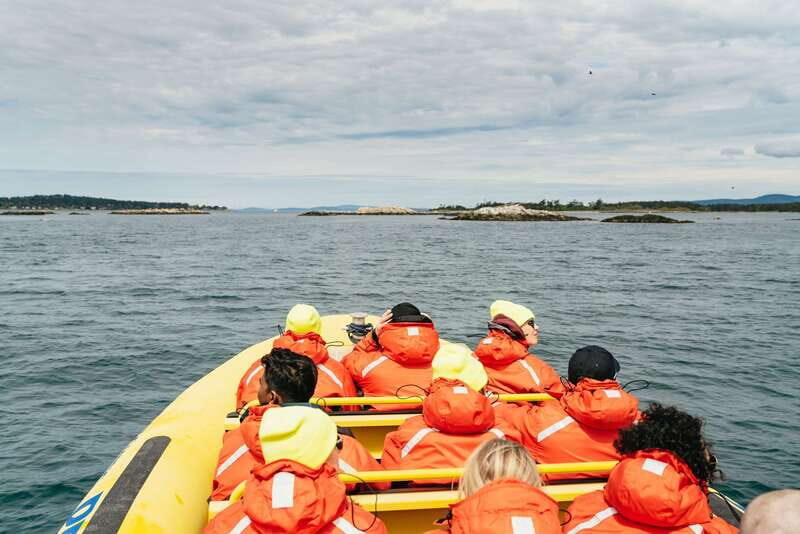 Victoria: Whale Watching Adventure in a Zodiac Boat - Zodiac-style whale watching out of Victoria’s Inner Harbour