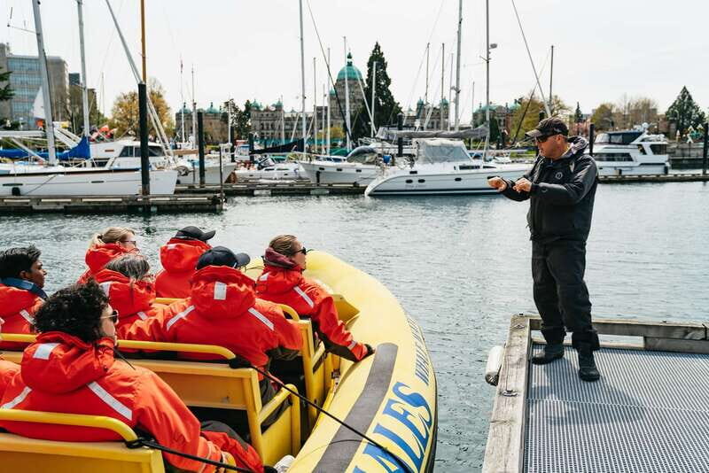 Victoria: Whale Watching Adventure in a Zodiac Boat - Wildlife odds: what you might see on the Salish Sea run