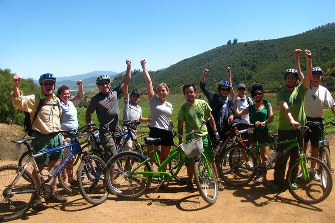 Vine and Dine Bicycle Wine Tour with Lunch - Stop 4: Reif Estate Winery for the longer finale