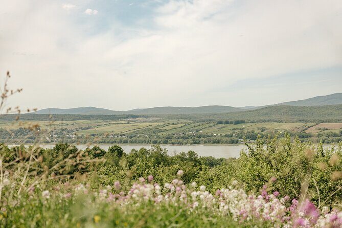 VIP Agritourism Tour of Île d’Orléans & Montmorency Falls (Lunch) - The quick HQ intro: your guide lines up the whole day