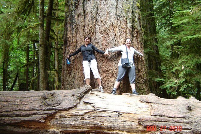 Waterfalls, Coombs and Cathedral Grove Rainforest Tour - Key things that make this tour worth your time