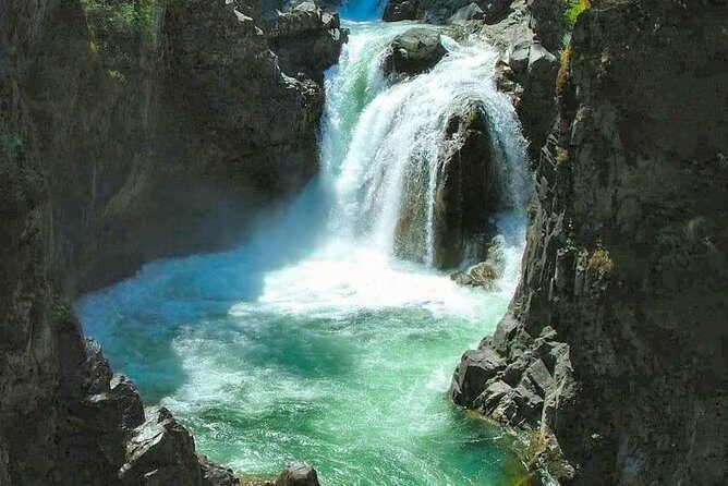 Waterfalls, Coombs and Cathedral Grove Rainforest Tour - A Waterfalls-and-Old-Growth Day Trip That Actually Feels Personal