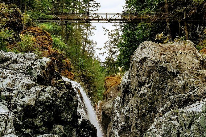 Waterfalls, Coombs and Cathedral Grove Rainforest Tour - Cowichan Bay Lookout and Cameron Lake: Short Stops for Big Atmosphere