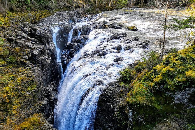 Waterfalls, Coombs and Cathedral Grove Rainforest Tour - How the Private Vehicle Time Fits Into a 9-Hour Schedule
