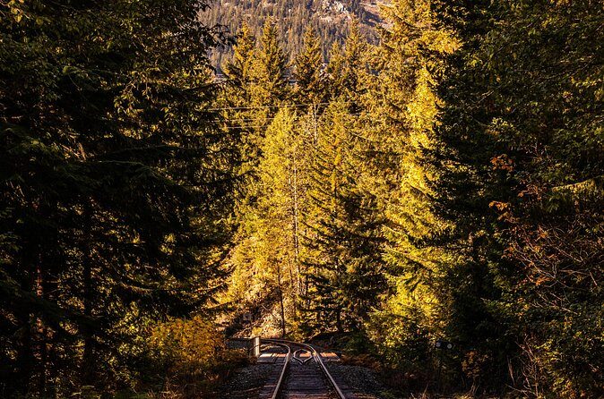 Waterfalls to Whistler Private Tour One Way - Who this tour fits best