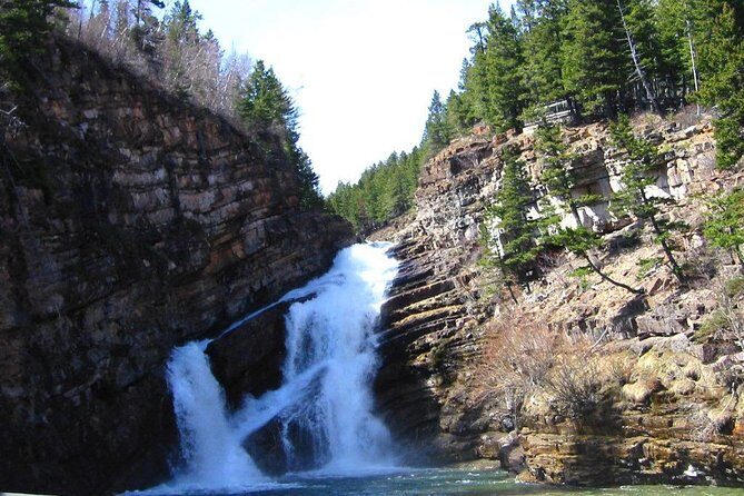 Waterton Lakes National Park Scenic Day Tour from Calgary - Buffalo Paddock (or Okotoks Big Rock): Wildlife Time With a Built-In Plan B