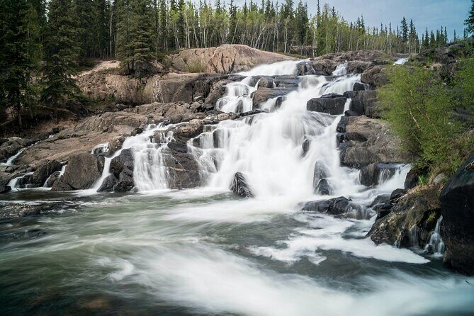 Waterton Lakes National Park Scenic Day Tour from Calgary - Price and What You’re Actually Paying For (CAD $163.89)