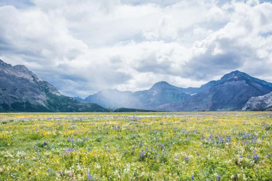 Waterton National Park: Lakes & Mountains Day Tour - Waterton Shoreline Cruise: optional, ticketed at the gate, and sometimes group-dependent