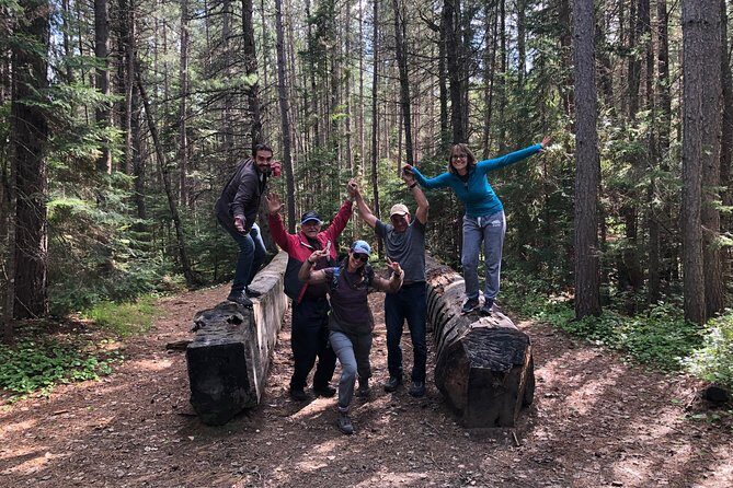 Welcome To Camping At Algonquin Park (2 Day) - Lake Opeongo: canoe or kayak on Algonquin’s big lake