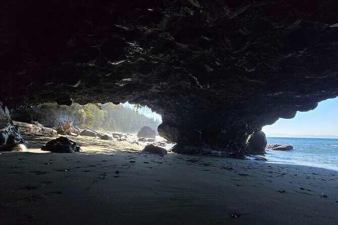 West Coast Wildlife Rainforest Waterfall and Beaches - Muir Creek Beach: lunch-time wildlife watching with seals and eagles