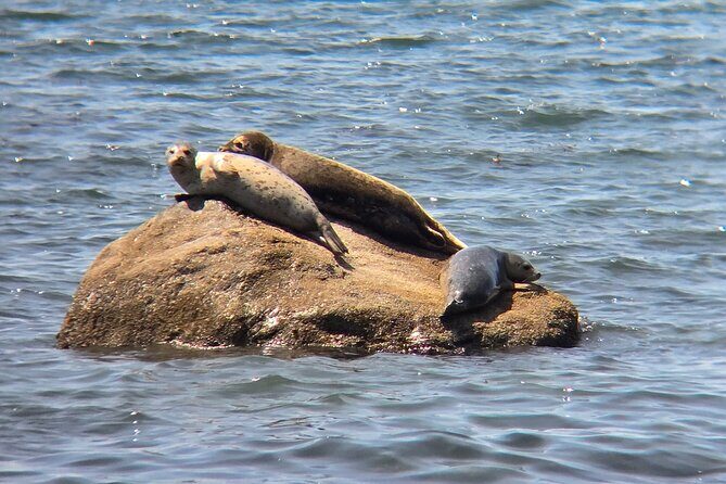 West Coast Wildlife Rainforest Waterfall and Beaches - Should you book West Coast Wildlife Rainforest Waterfall and Beaches?