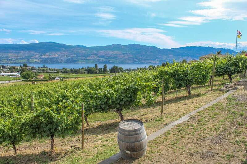 West Kelowna: Afternoon Sightseeing and Wine Tour - West Kelowna in four hours: what this tour actually delivers