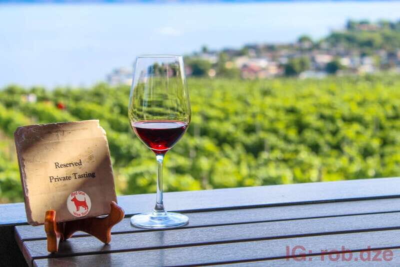 West Kelowna: Afternoon Sightseeing and Wine Tour - Mercedes van comfort plus a real guide voice