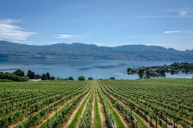 West Kelowna Full Day Lunch Wine Tour-Incl Tastings & Guide Grat - A 10:30am Wine Day That Starts with Pickup (Not Parking)