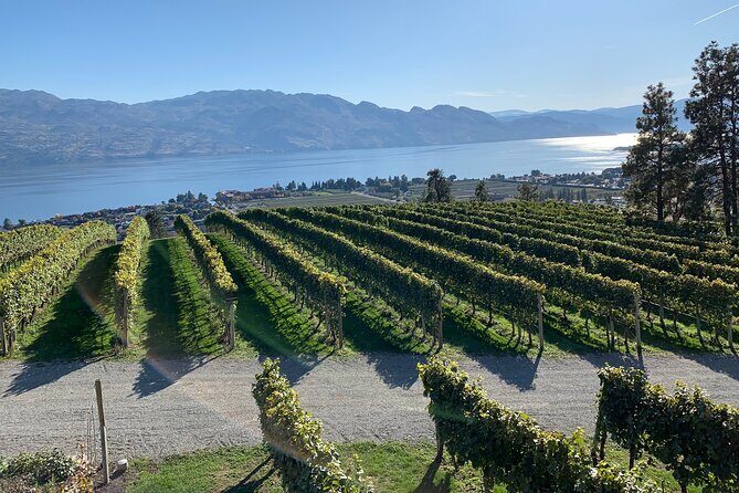 West Kelowna Full Day Wine Tour - Price and what you are really buying for $155.15