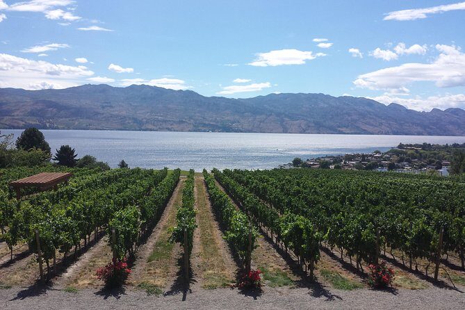 West Kelowna Gallery Of Grapes Wine Tour - Key Highlights You Can Act On