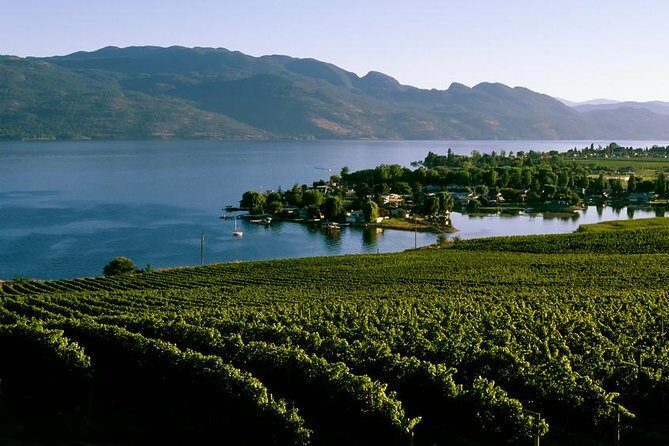 West Kelowna Wine Tour - Classic - 4 Wineries - Why this West Kelowna Wine Tour feels easy (and actually good value)