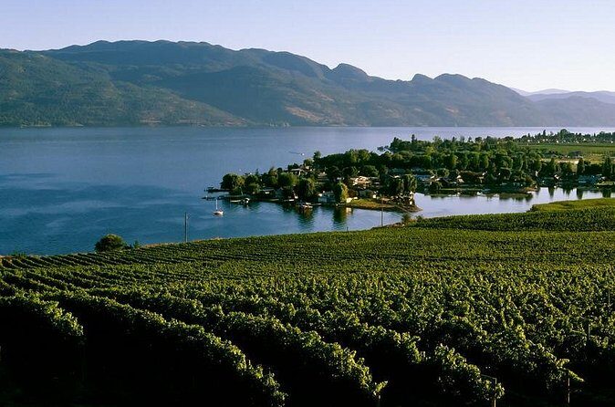 West Kelowna Wine Tour - Classic - 4 Wineries - Stop-by-stop: what you’ll experience at each winery