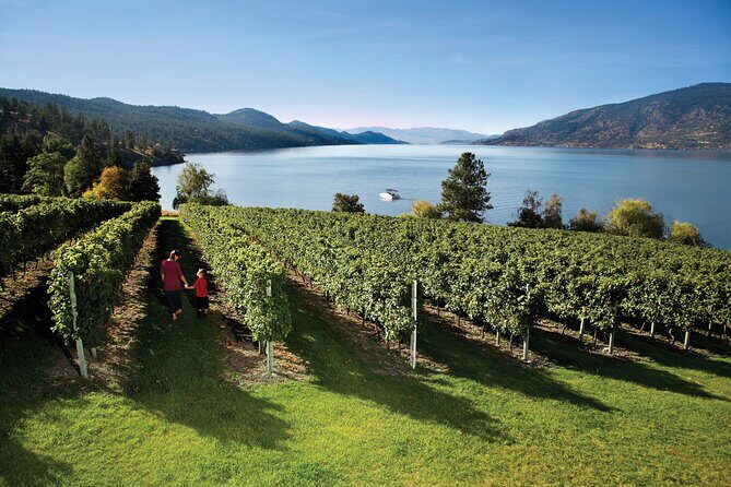 West Kelowna Wine Trail - Visit 5 wineries - Getting picked up: what the timing and transport feel like