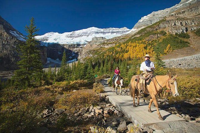 Western Trails - One Way Vancouver To Calgary Rockies Bus Tour - Price and logistics: what $1,543.97 is really paying for