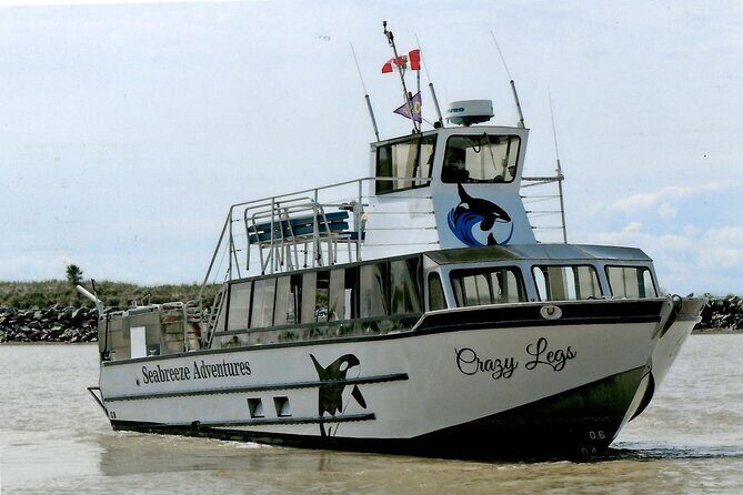 Whale Watching Adventure from Vancouver BC - Price and value: is $184 worth it?